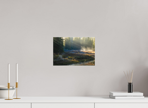 Ethereal Forest, Montenegro