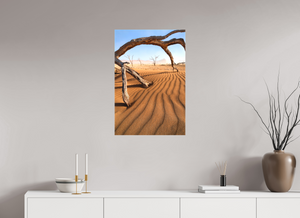 Talons of Decay, Namibia