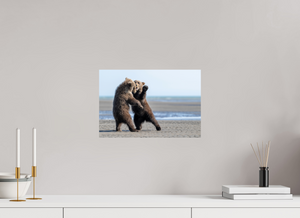 Sibling Rivalry, Alaskan Coastal Brown Bear Cubs