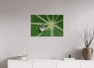 Jurassic Park, Maine