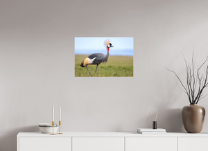 Strictly Formal, Crowned Crane