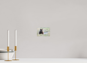 Wonder World, Alaskan Coastal Brown Bear Cub