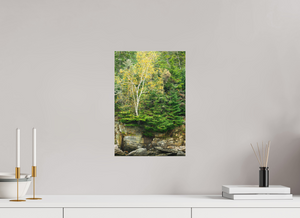 Autumn Confetti, Maine