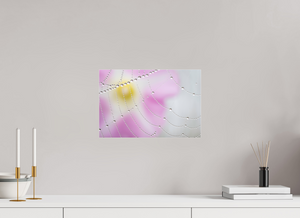 Spider's Treasure, Maine