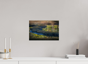 Mirror on the Marsh, Maine