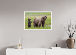 Maternal Instinct, Alaskan Coastal Brown Bear