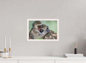 Primal Emotion, Vervet Monkey