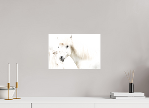 Transparency, Iceland