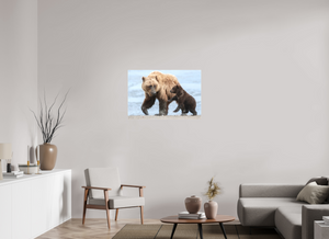 Playful Invitation, Alaskan Coastal Brown Bear