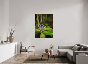 Weathering The Storm, Fantail