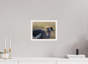 Rouge Details, Crowned Crane