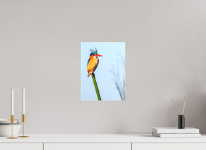 Mohawk, Malachite Kingfisher