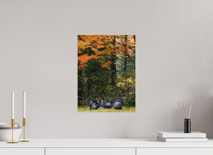 Signs of the Season, Turkey