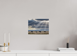 Following Tradition, Elephant