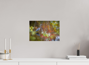 Impressions of Monet, Maine