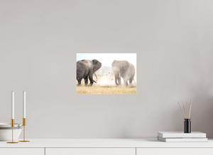 War and Peace, Elephant