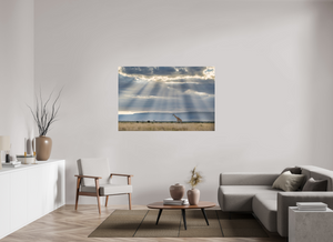 Waiting on Giants, Giraffe