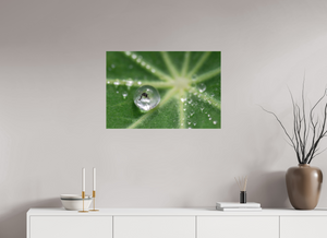 Jurassic Park, Maine