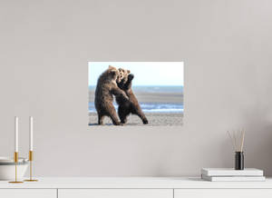 Sibling Rivalry, Alaskan Coastal Brown Bear Cubs