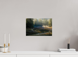 Ethereal Forest, Montenegro