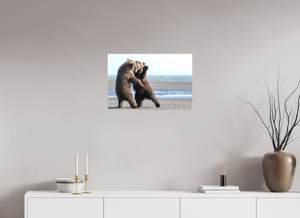 Sibling Rivalry, Alaskan Coastal Brown Bear Cubs