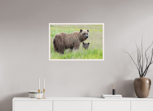 Limited Visibility, Alaskan Coastal Brown Bear