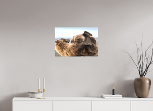 The Nursery Hour, Alaska