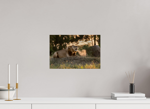 Lord of the Dawn, Lion