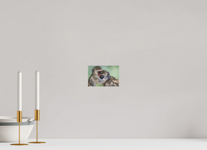 Primal Emotion, Vervet Monkey