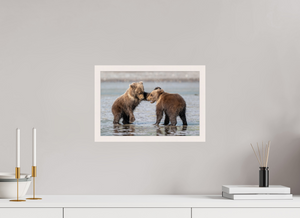 Conflict, Alaskan Coastal Brown Bear Cubs