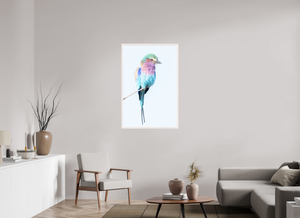 African Pastels, Lilac-Breasted Roller