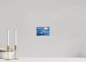 Point of Impact, Greater Flamingo