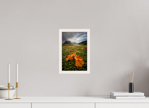 Gems in the Rough, Norway