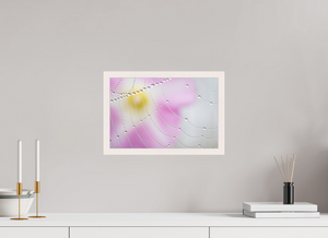 Spider's Treasure, Maine