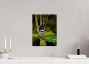 Weathering The Storm, Fantail