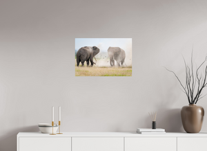 War and Peace, Elephant