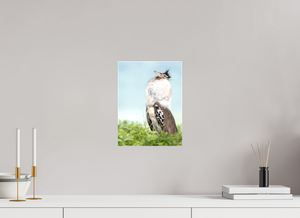 Spring Fancy, Kori Bustard