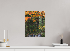 Signs of the Season, Turkey