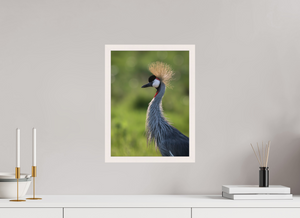 Glamour, Crowned Crane