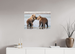 Conflict, Alaskan Coastal Brown Bear Cubs