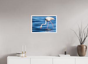 Point of Impact, Greater Flamingo
