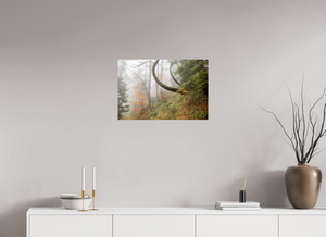 Imaginarium Opus, Slovenia