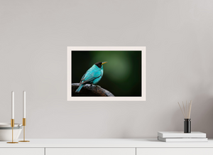 Centerpiece, Green Honeycreeper