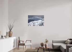 Shape of the Wind, New Zealand