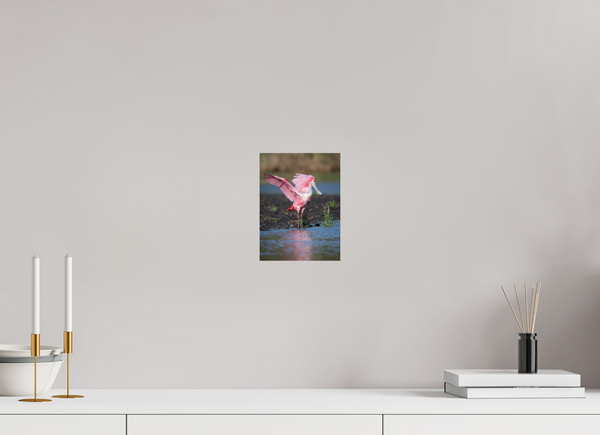 Water Dance, Roseate Spoonbill