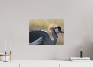 Rouge Details, Crowned Crane