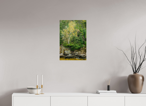 Autumn Confetti, Maine