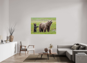 Maternal Instinct, Alaskan Coastal Brown Bear