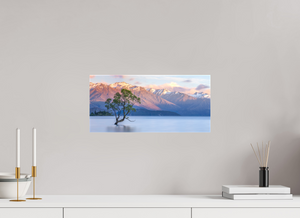 Endurance, New Zealand