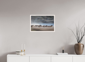 Safety in Numbers, Wildebeest